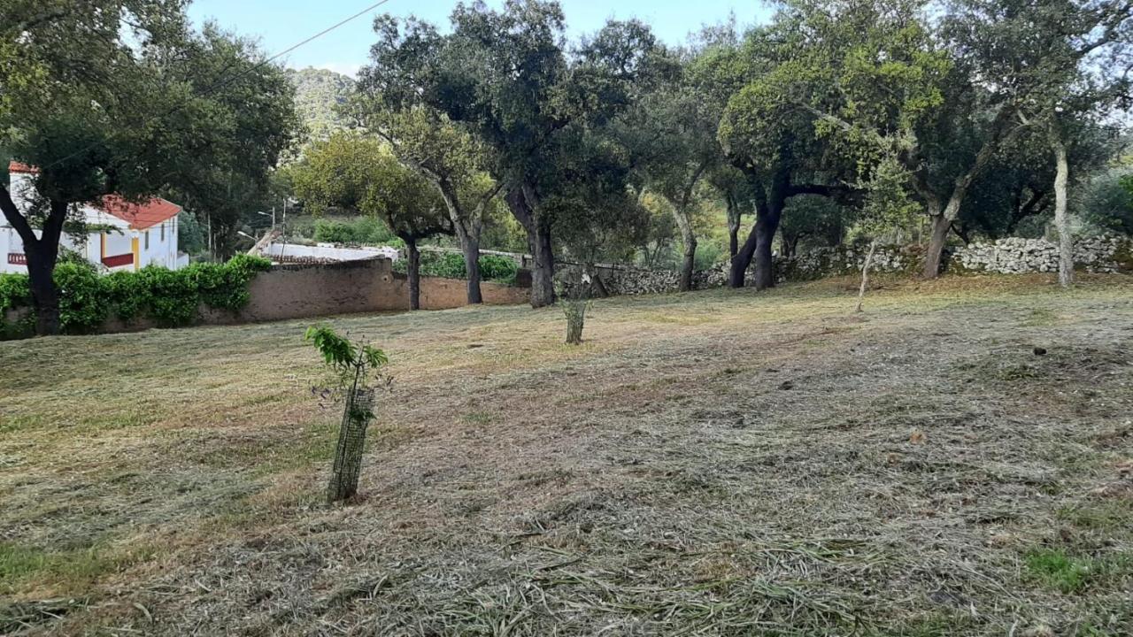 Casa Do Passaro Villa Galegos  Dış mekan fotoğraf