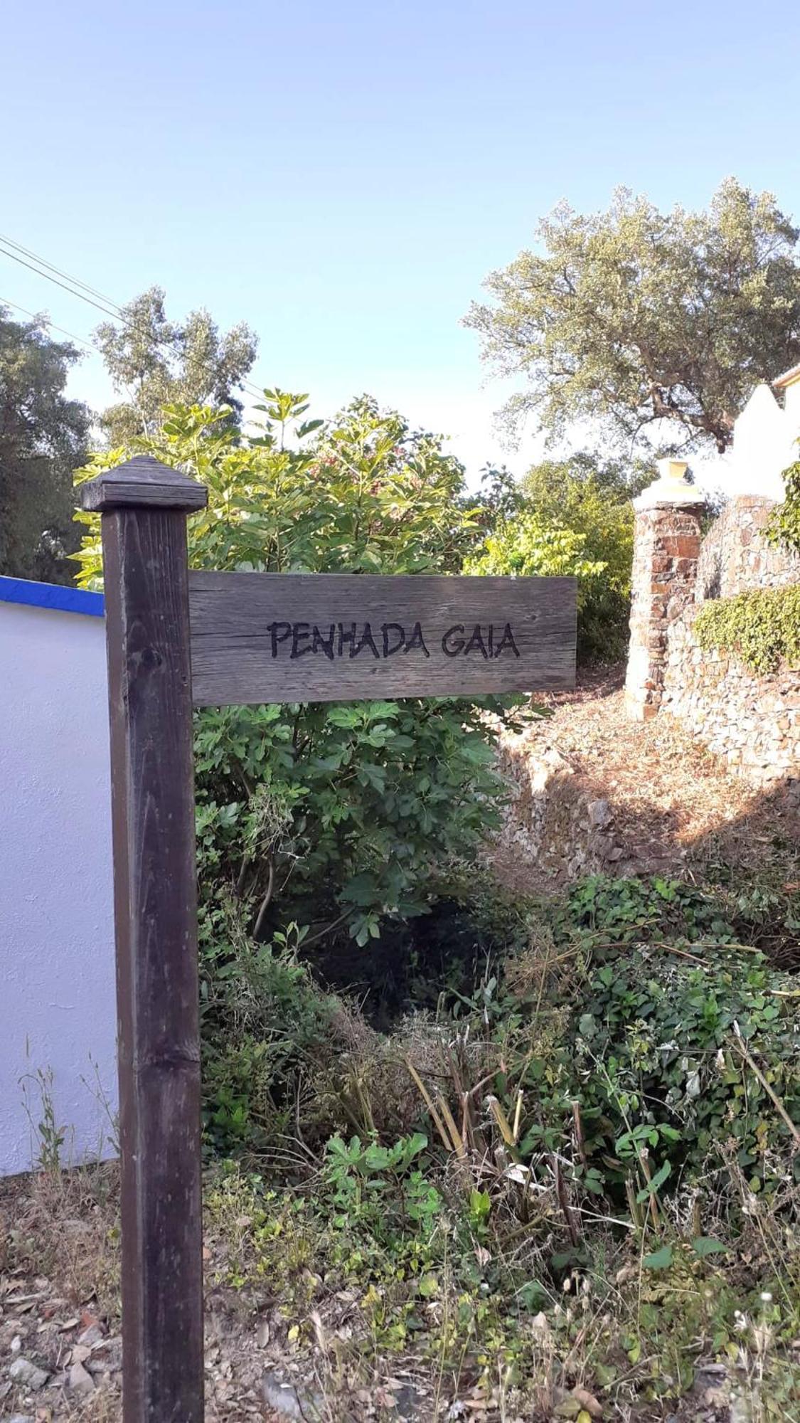 Casa Do Passaro Villa Galegos  Dış mekan fotoğraf