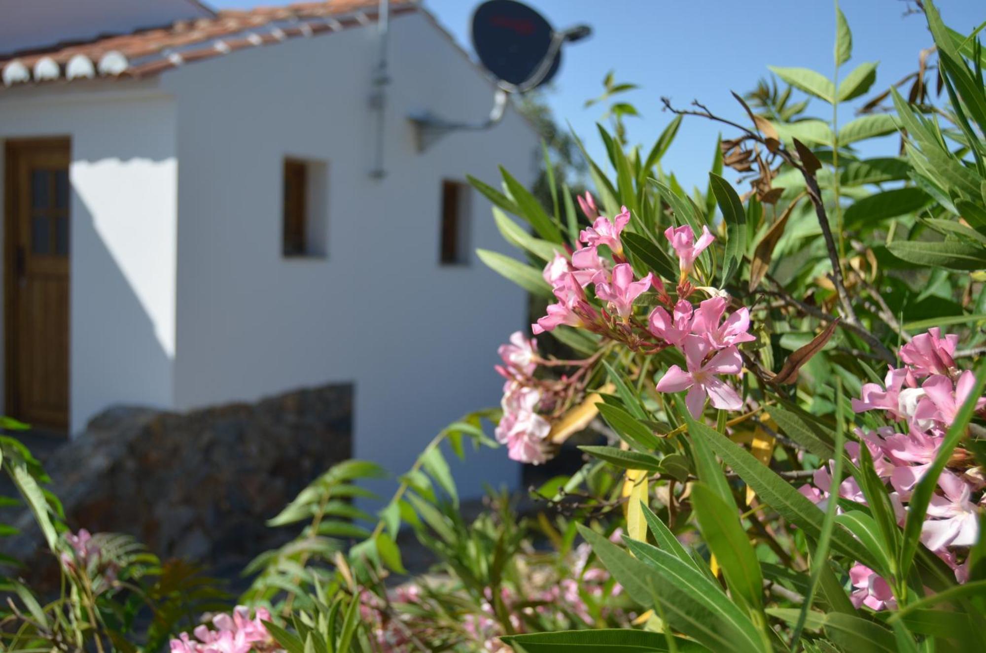Casa Do Passaro Villa Galegos  Dış mekan fotoğraf
